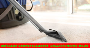 steam carpet cleaning