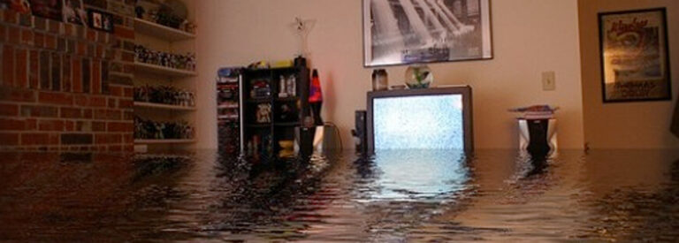 Seven Reasons to have Professional Water Damage Restoration in Charlotte NC