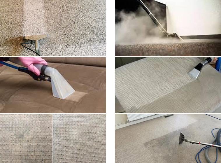 What are the Perks that come with using a Professional Carpet Cleaning Service What are the Perks that come with using a Professional Carpet Cleaning Service