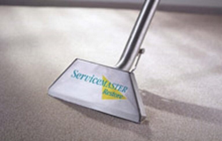 What to Consider When Choosing a Carpet Cleaner