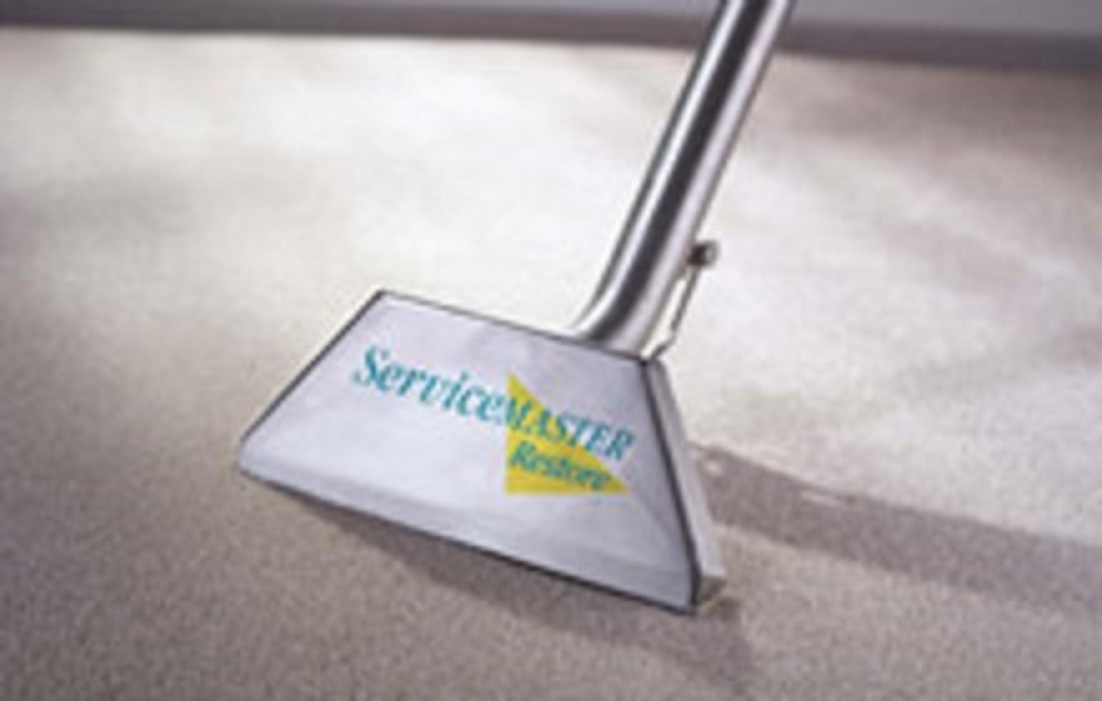 What to Consider When Choosing a Carpet Cleaner What to Consider When Choosing a Carpet Cleaner