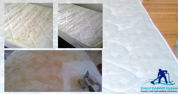 Professional Mattress Cleaning Service for a Cleaner & Healthier Living Professional Mattress Cleaning Service for a Cleaner & Healthier Living