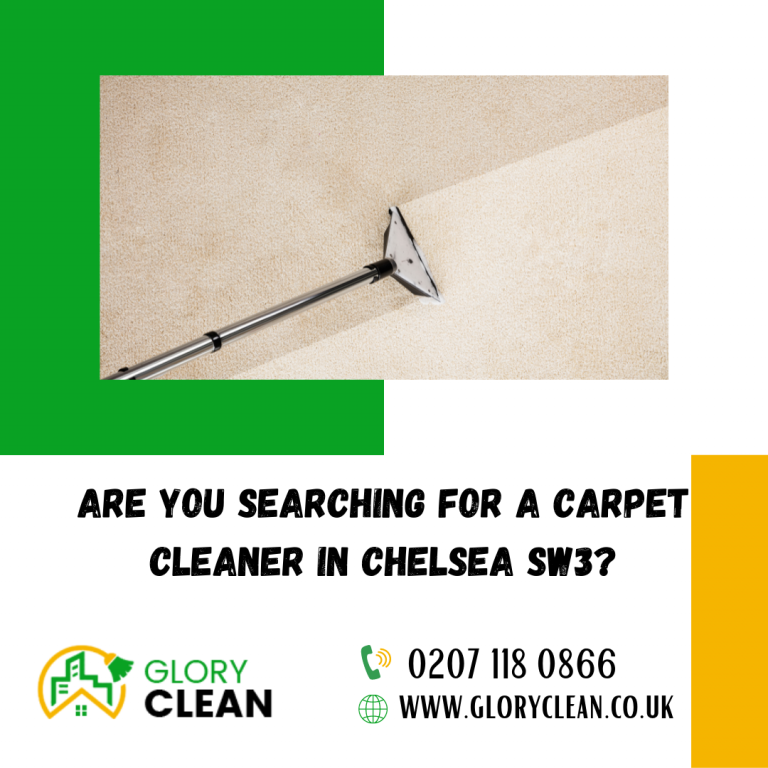 Signs that Require your Carpet Needs an Expert Cleaning Assistance