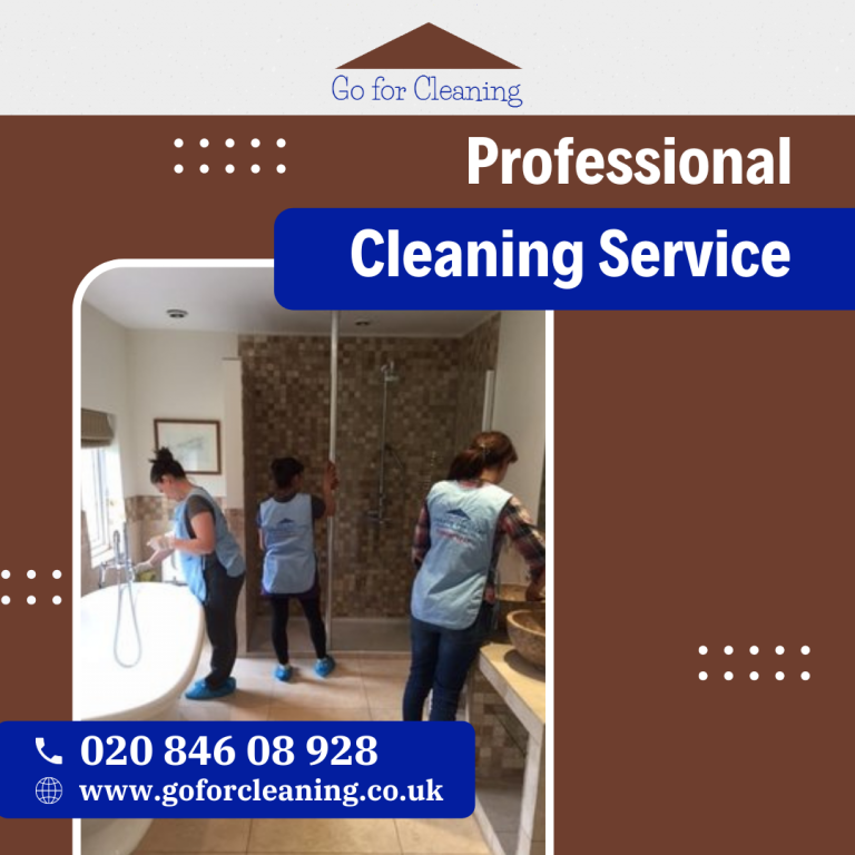 Why should you hire Professional Upholstery or Sofa Cleaning Service