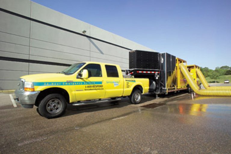 Why Is It So Imperative To take The Support Of A Trusted Carpet Cleaning Service Why Is It So Imperative To take The Support Of A Trusted Carpet Cleaning Service