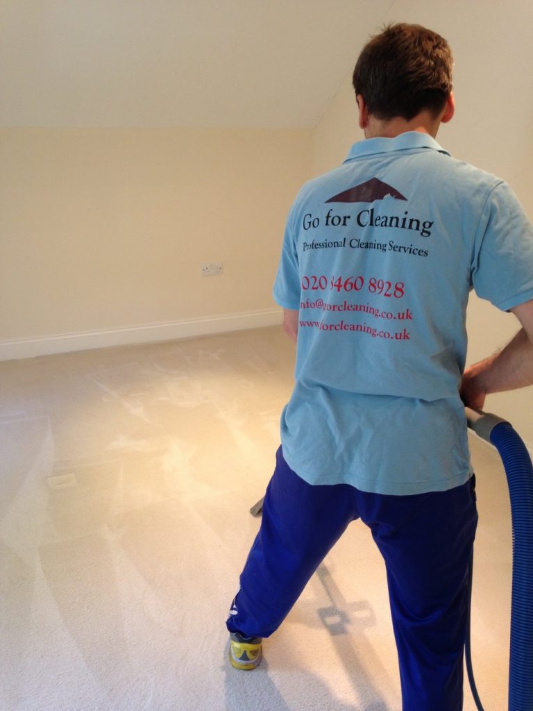 Need a Professional Carpet Cleaning Before or After a Particular Party Need a Professional Carpet Cleaning Before or After a Particular Party