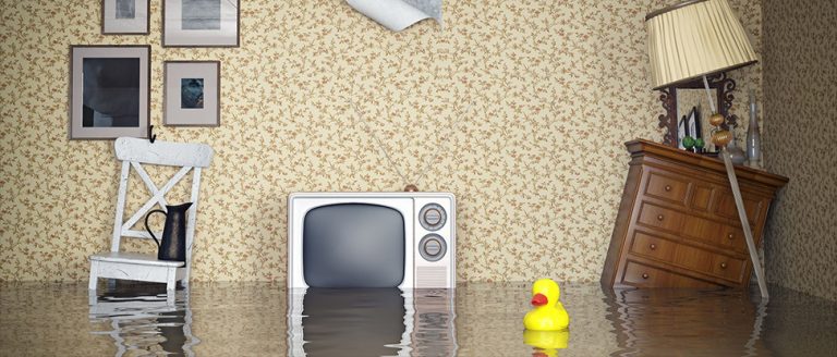 How You Can Select The Best Commercial Water Damage Restoration Company In Glenview, IL How You Can Select The Best Commercial Water Damage Restoration Company In Glenview, IL