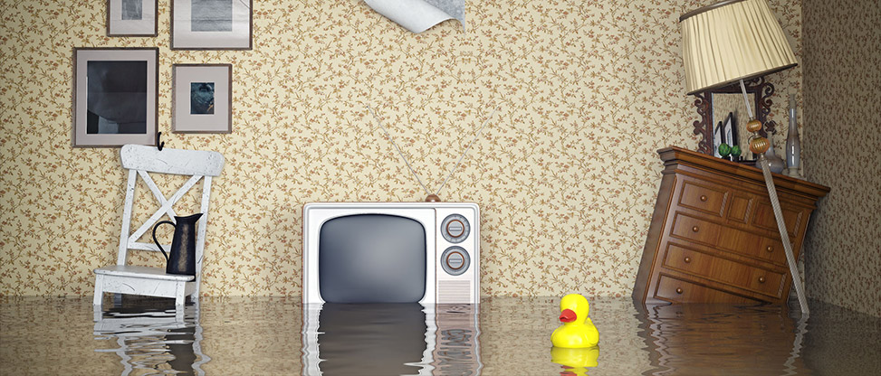How You Can Select The Best Commercial Water Damage Restoration Company In Glenview, IL How You Can Select The Best Commercial Water Damage Restoration Company In Glenview, IL