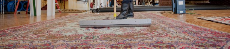 How often do you Clean your Rugs How often do you Clean your Rugs