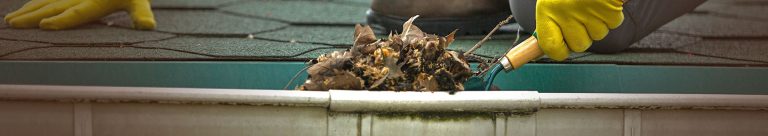 Gutter Cleaning for Rental Properties: Protecting Your Investment Gutter Cleaning for Rental Properties: Protecting Your Investment