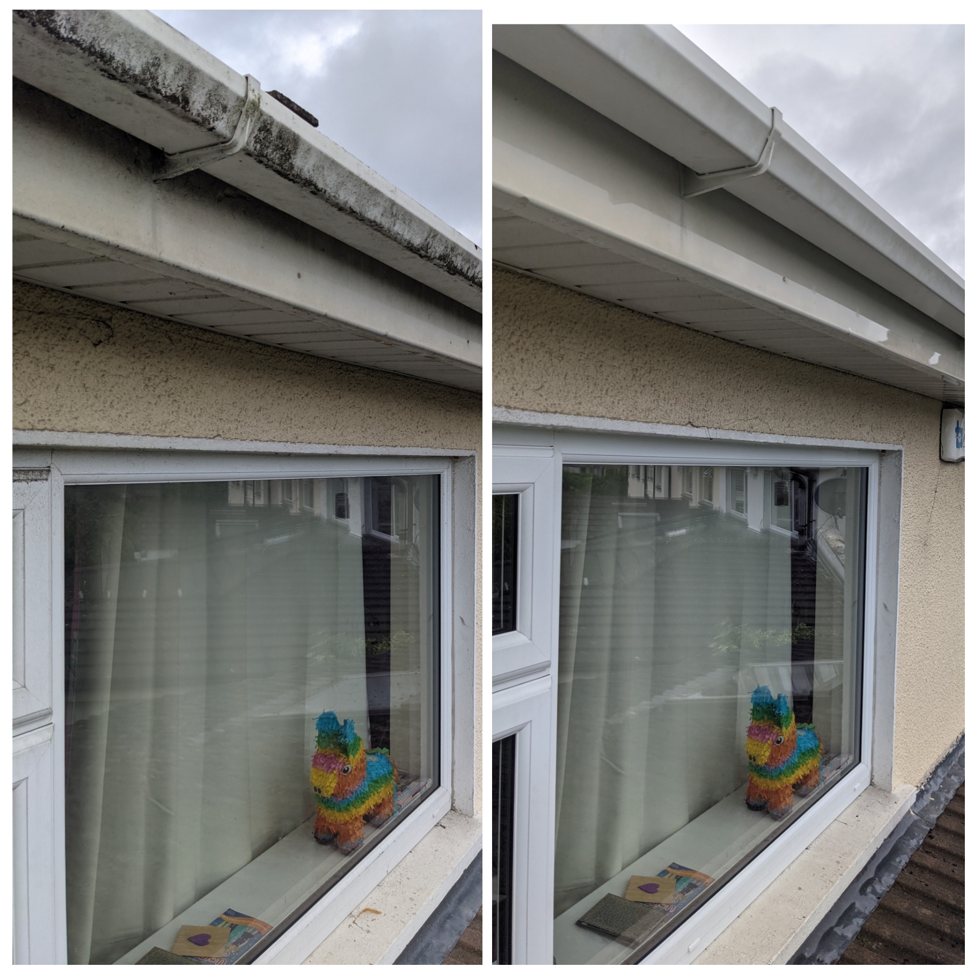 Clear Views, Bright Futures: Elevating Your Business with Clean Windows