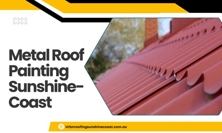 Transform Your Roof with Expert Metal Roof Painting Services