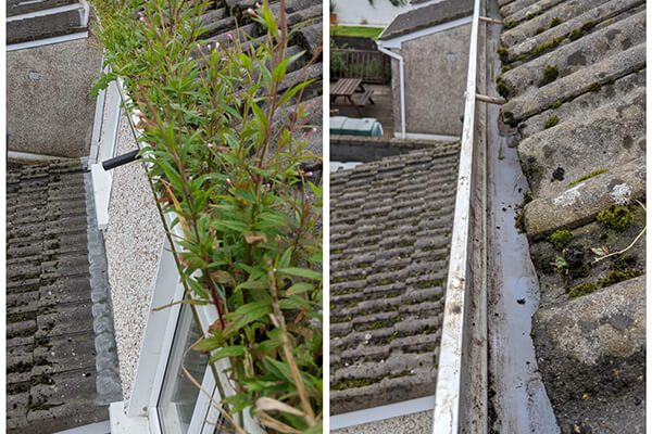 Gutter Maintenance: DIY vs. Professional Cleaning – Which Wins?