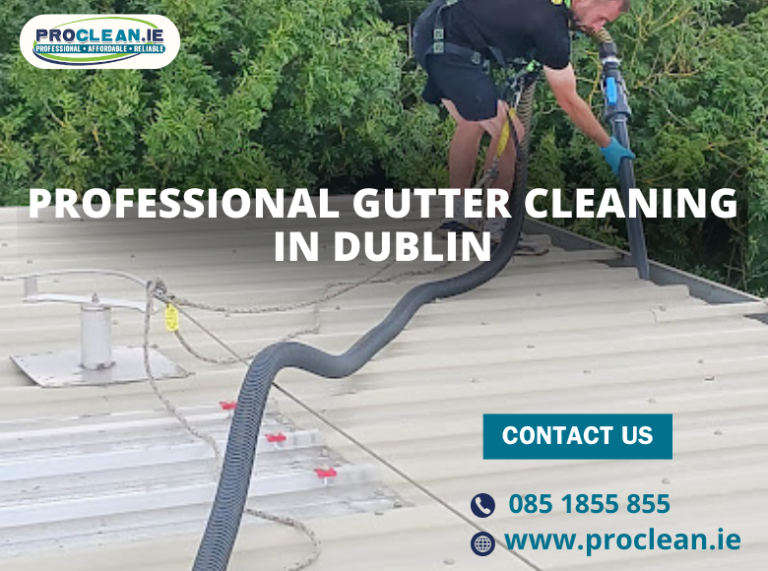 Dublin’s Trusted Gutter Cleaning Service: Shielding Homes from Water Damage