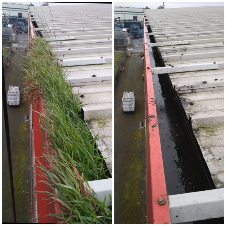Essential Steps to Inspect Your Gutters After a Cyclone