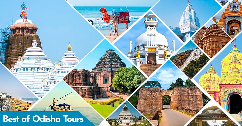 Experience the Best Wildlife Tours in Odisha with OD Travels