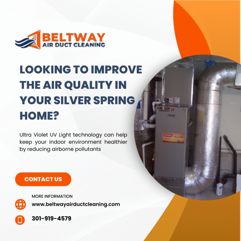 Create a Healthier Home with Professional Vent and Duct Cleaning Create a Healthier Home with Professional Vent and Duct Cleaning
