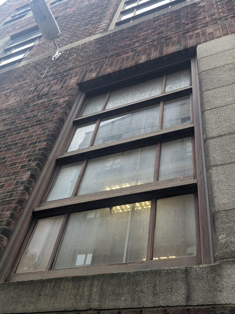 Why Hiring Local Window Cleaners in Dublin Is the Smartest Choice for Sparkling Homes