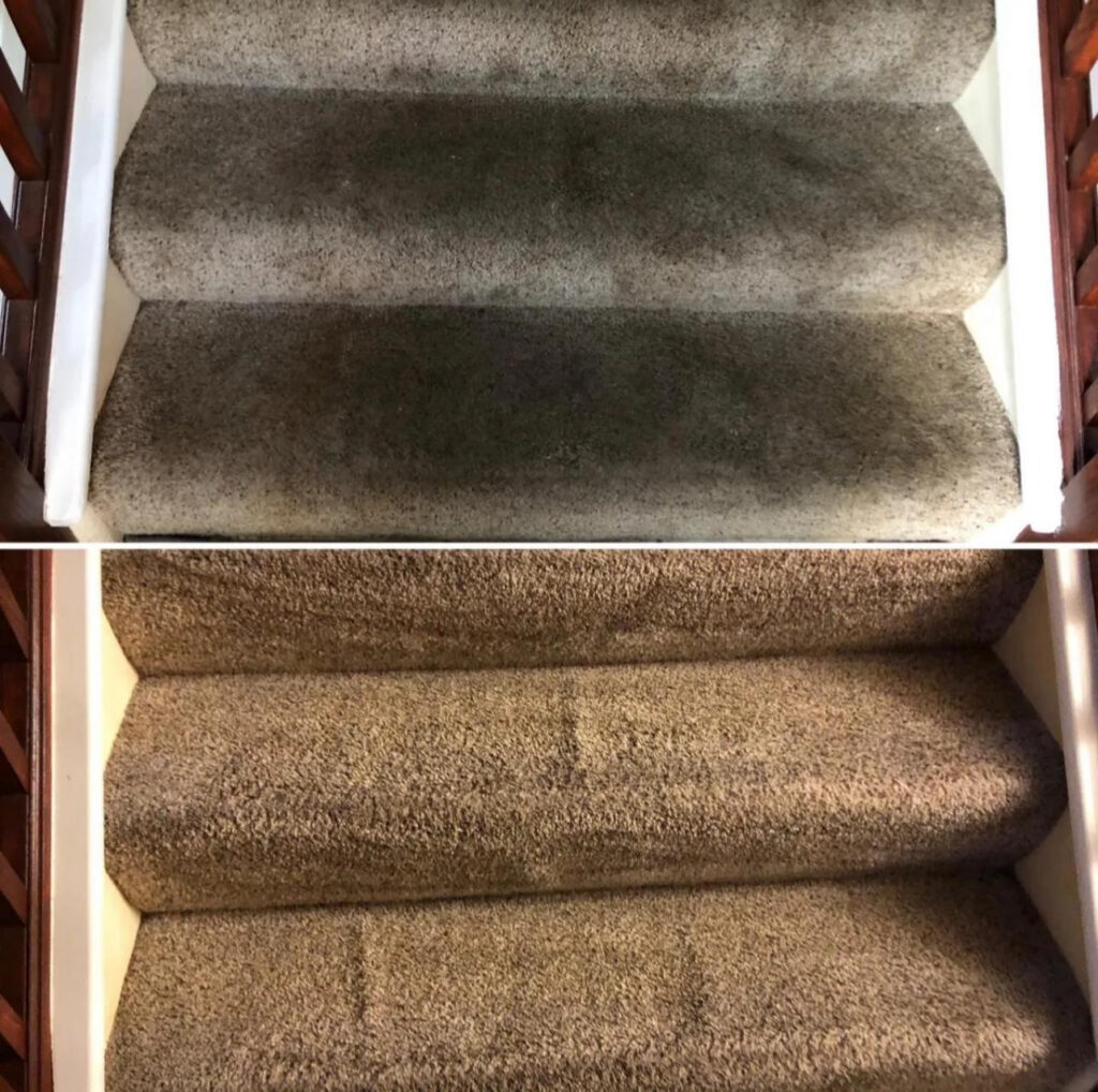 Carpet Cleaner near me