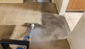 Budget vs Quality: How Choosing Professional Carpet Cleaning Saves Money Long-Term?