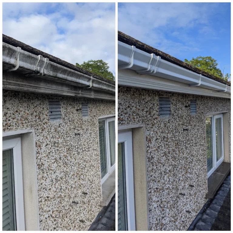 Why Gutter Maintenance is Your Home’s Best Defense Against Damp and Mold